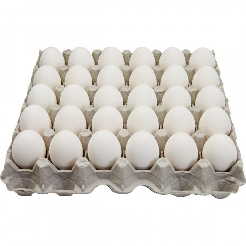 EGGS WHITE CAGE FREE - 5 DOZEN*