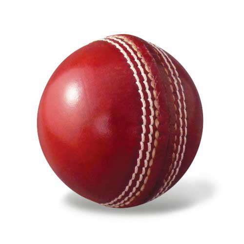 CRICKET LEATHER BALL - 1 UNIT